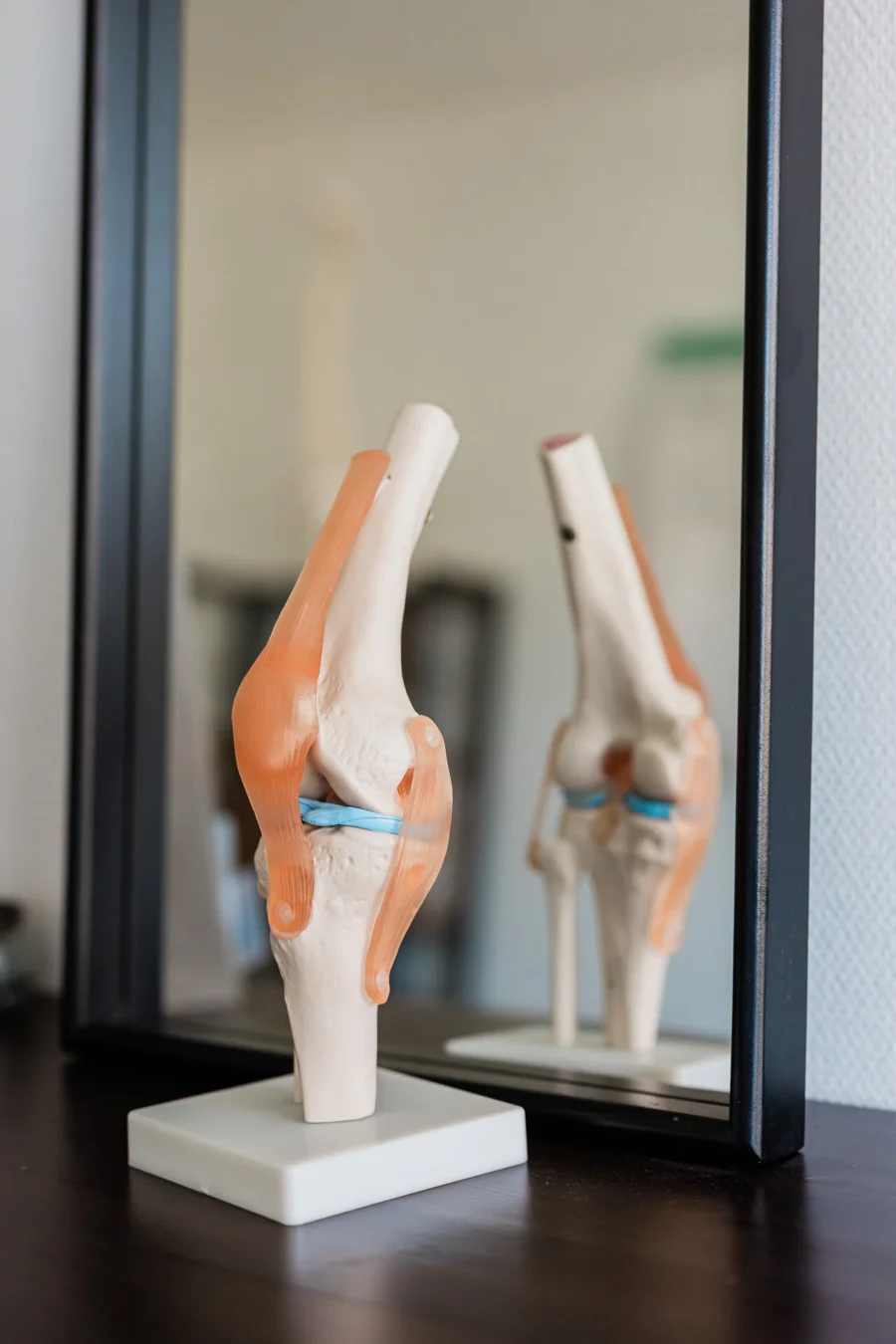Ein Bild sagt mehr als tausend Worte – 
mit anatomischen Modellen erklärt Katharina 
verständlich, was im Knie passiert und 
warum gezielte Anwendung so wichtig ist.